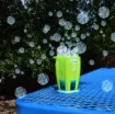 Picture of MAXX BUBBLES BUBBLE JET