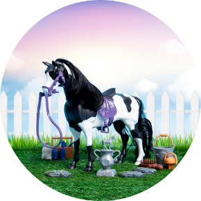 Picture for category Horses